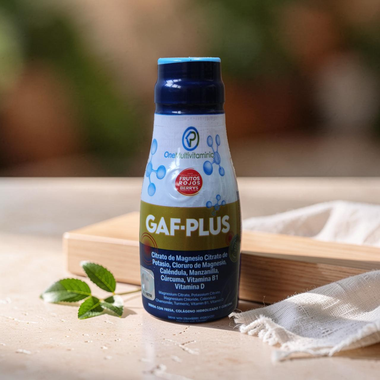 GAFPLUS
